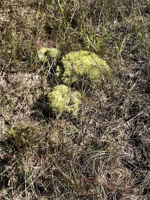 01 Unnamed, Spring Hill, FL 34610 photo 81