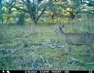 01 Unnamed, Spring Hill, FL 34610 photo 16