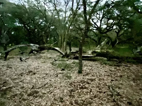 01 Unnamed, Spring Hill, FL 34610 photo 65