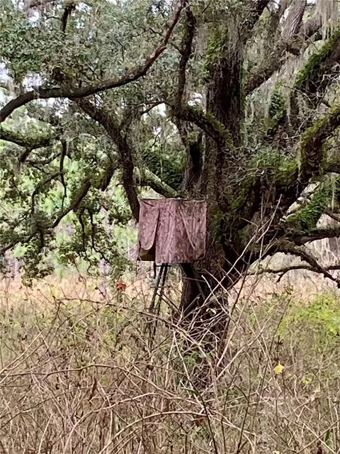 01 Unnamed, Spring Hill, FL 34610 photo 34
