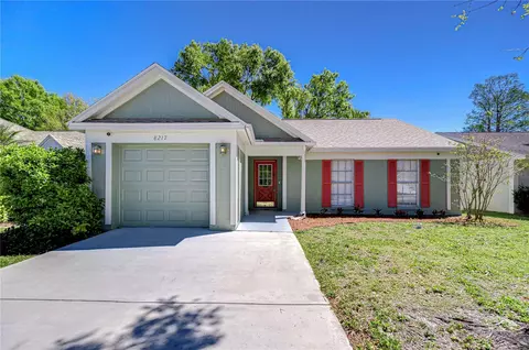 8217 Natchez St, Tampa, FL 33637