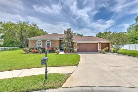 3217 Partridge Point Trl, Valrico, FL 33596