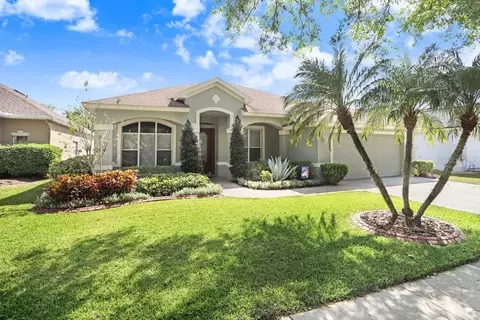 16843 Harrierridge Pl, Lithia, FL 33547