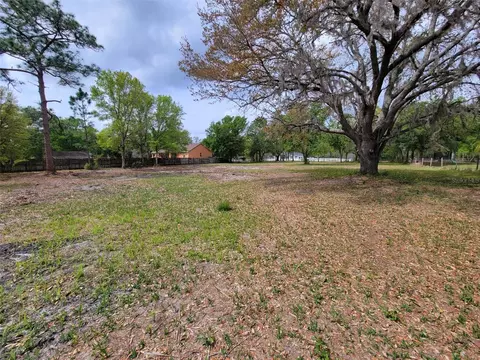 0 Tallowtree Dr, Wesley Chapel, FL 33544
