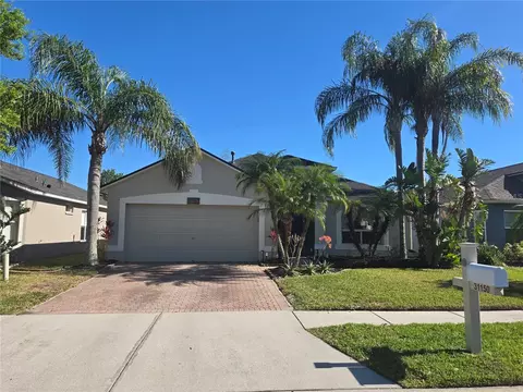 31150 Harthorn Ct, Wesley Chapel, FL 33543