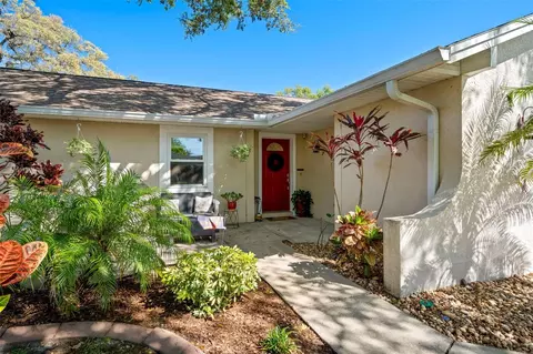 304 Jean St, Palm Harbor, FL 34683