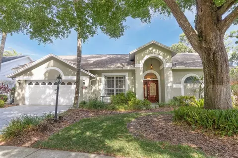 13703 Whitebark Pl, Tampa, FL 33625