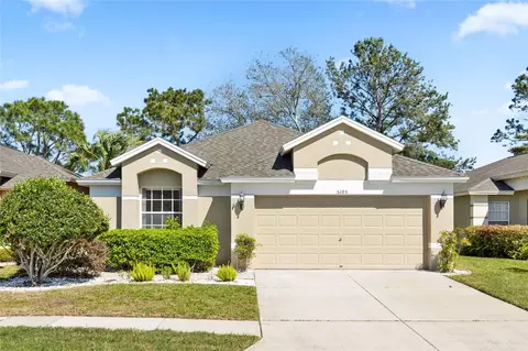5105 Gato Del Sol Cir, Wesley Chapel, FL 33544