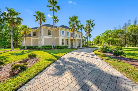 19005 Cour Ests, Lutz, FL 33558 photo 1