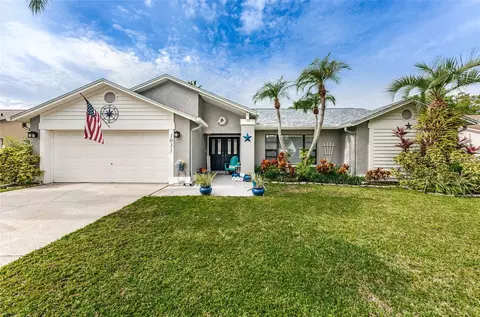 1031 Ridge View Ln, Palm Harbor, FL 34683