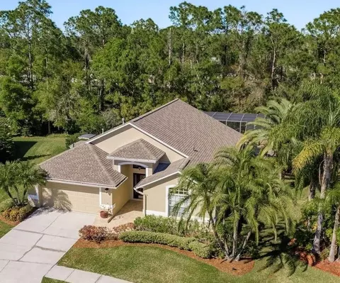 14709 Coral Berry Dr, Tampa, FL 33626