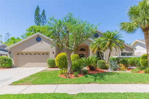 15814 Hampton Village Dr, Tampa, FL 33618