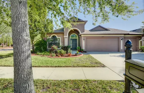 8404 White Poplar Dr, Riverview, FL 33578