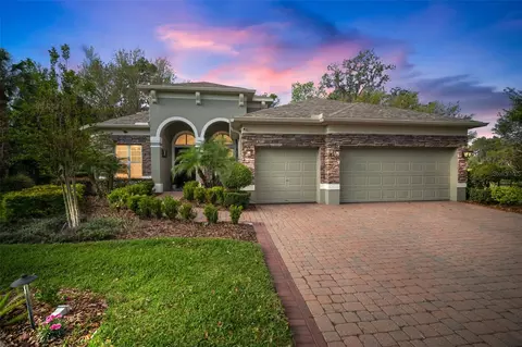 3633 Cordgrass Dr, Valrico, FL 33596