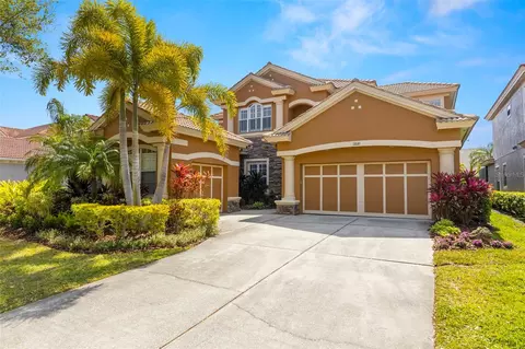 11610 Bristol Chase Dr, Tampa, FL 33626