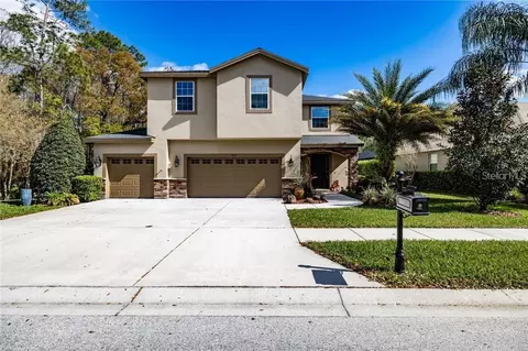 6612 Thornton Palms Dr, Tampa, FL 33647