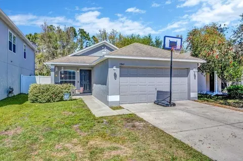 17043 Lixberry Way, Land O Lakes, FL 34638