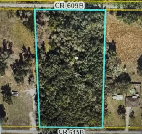 Cr 609b, Bushnell, FL 33513