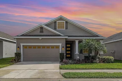 11110 Swansea St, Riverview, FL 33578
