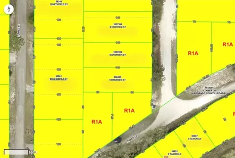 Drennen Street, Dade City, FL 33523
