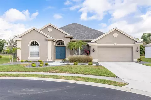 9807 Balsaridge Ct, Trinity, FL 34655