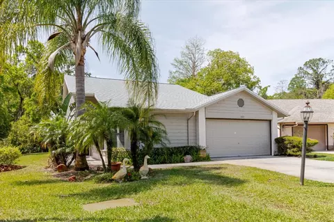 11521 Rose Tree Dr, New Port Richey, FL 34654