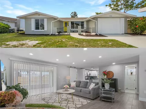 7316 Robstown Dr, Port Richey, FL 34668