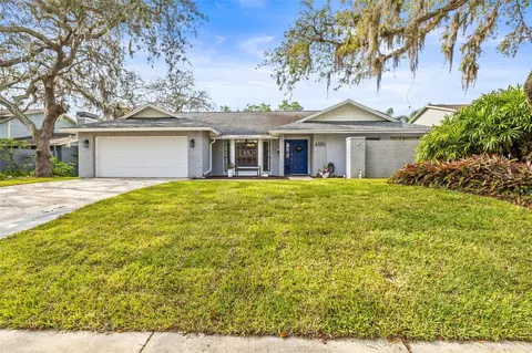 6105 Rain Briar Ct, Temple Terrace, FL 33617