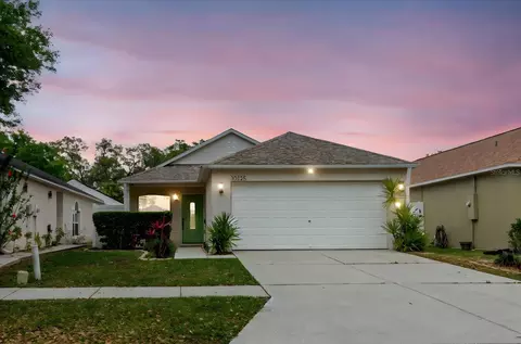 30225 Double Dr, Wesley Chapel, FL 33545