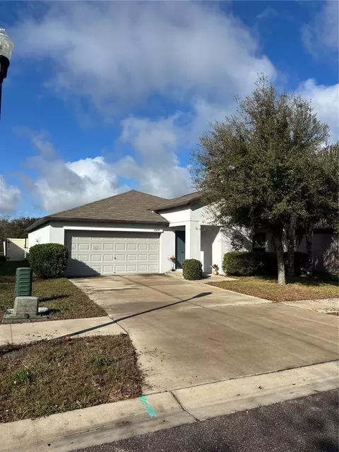 12639 Lemon Pepper Dr, Riverview, FL 33578 photo 1