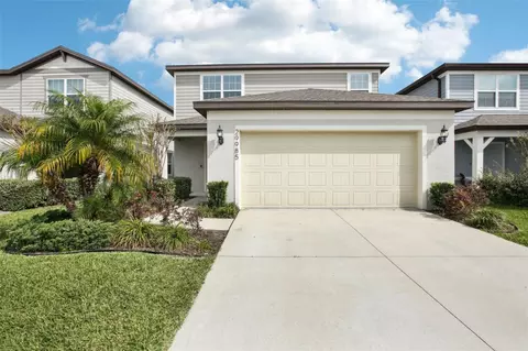 29985 Marquette Ave, Wesley Chapel, FL 33545