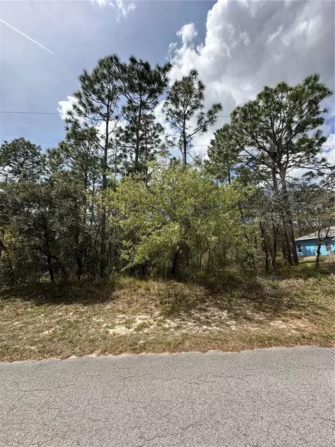 2 Fringetree Ct, Homosassa, FL 34446