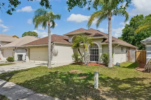 10234 Oasis Palm Dr, Tampa, FL 33615