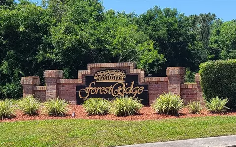 0 Wood Dove Lots 1234 Ave, Tarpon Springs, FL 34689
