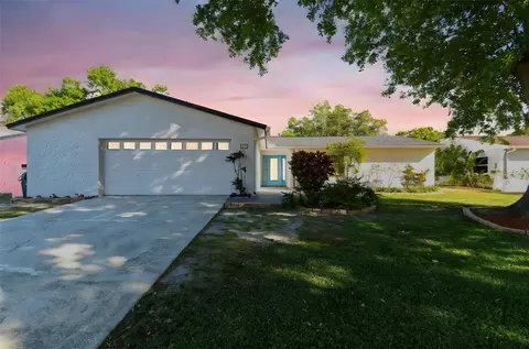 706 Caliente Dr, Brandon, FL 33511