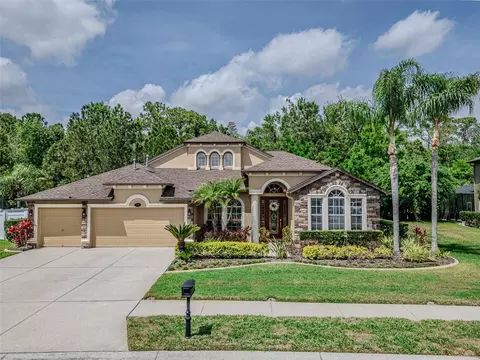 16200 Ivy Lake Dr, Odessa, FL 33556