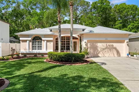 2040 Fishermens Bnd, Palm Harbor, FL 34685