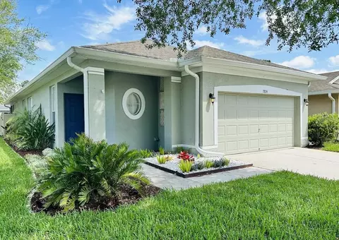 7824 Foxgrove Dr, Land O Lakes, FL 34637