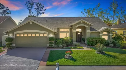 28402 Openfield Loop, Wesley Chapel, FL 33543 photo 1