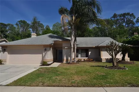 3189 Roxmere Dr, Palm Harbor, FL 34685