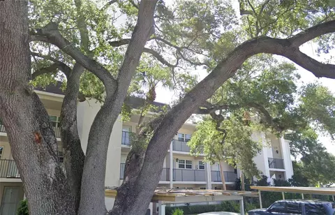 870 Virginia St #315, Dunedin, FL 34698