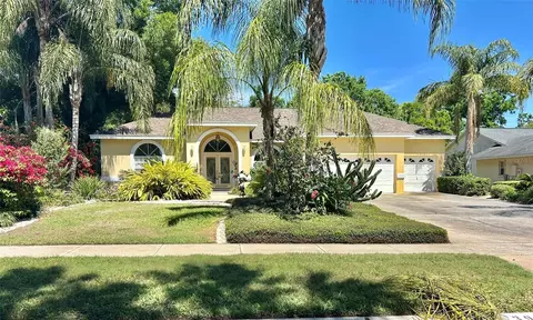 3916 Appletree Dr, Valrico, FL 33594