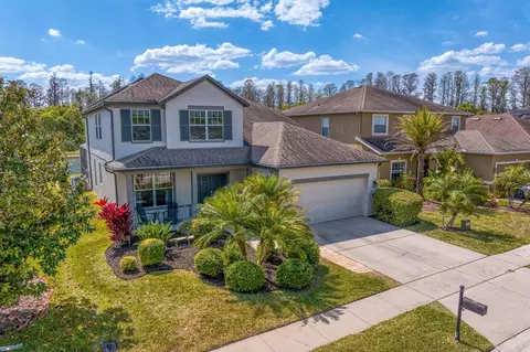 5535 Shasta Daisy Pl, Land O Lakes, FL 34639