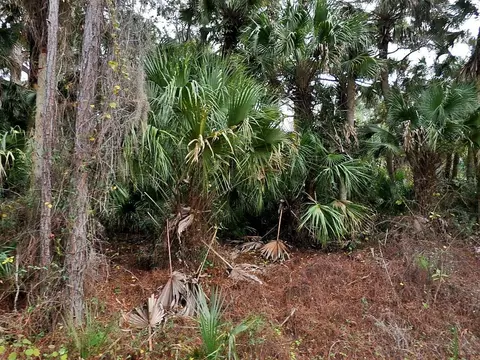Daphne Road, North Port, FL 34288