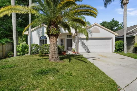 4502 Wild Plum Ln, Lutz, FL 33558