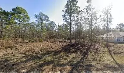 16106 Medrick Rd, Brooksville, FL 34614