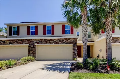 13217 Canopy Creek Dr, Tampa, FL 33625
