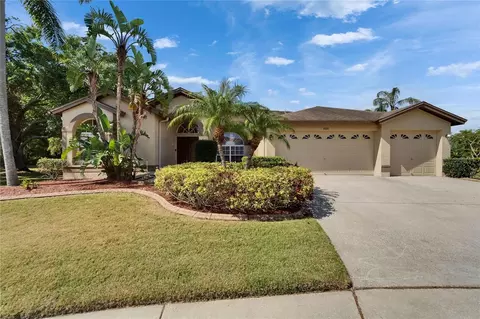10110 Vista Pointe Dr, Tampa, FL 33635