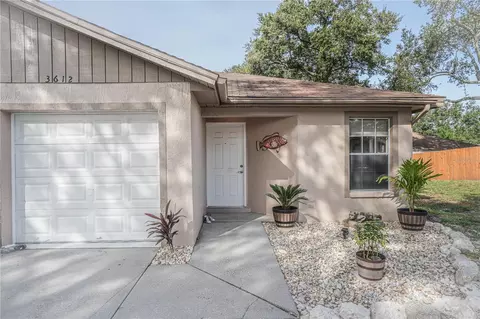 3612 Sammy Ct, Palm Harbor, FL 34684