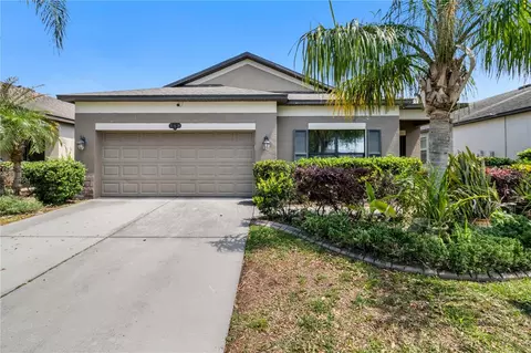 11638 Palmetto Pine St, Riverview, FL 33569